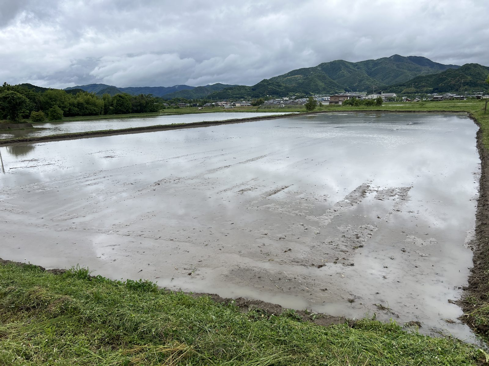 代掻きを終えて水を張った田んぼ。背後に山が連なる